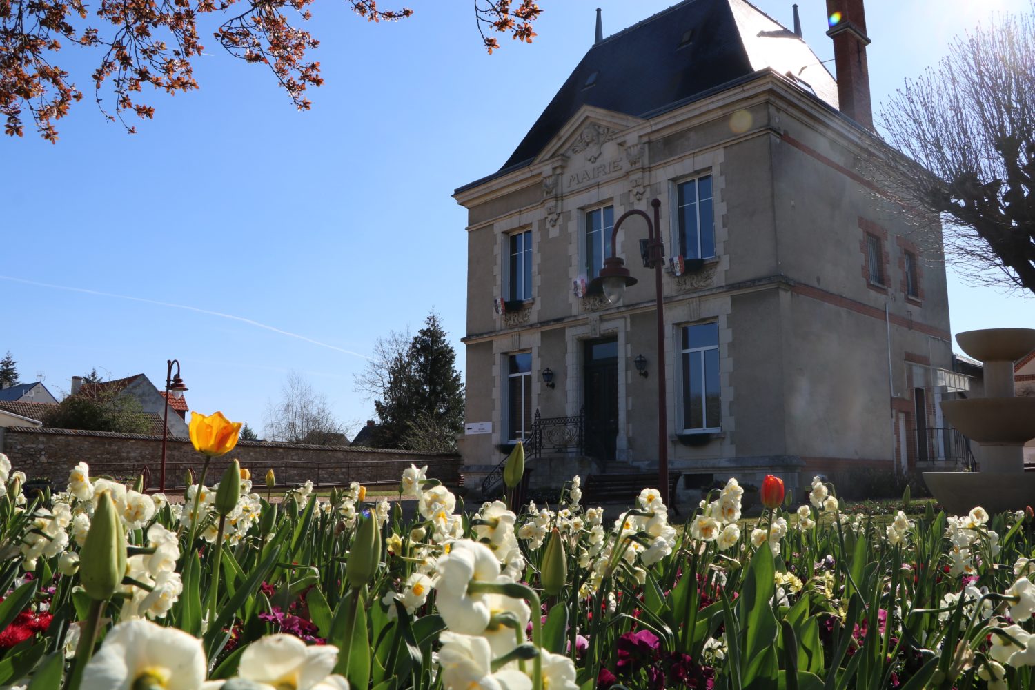 Ville de SaintPryvéSaintMesmin