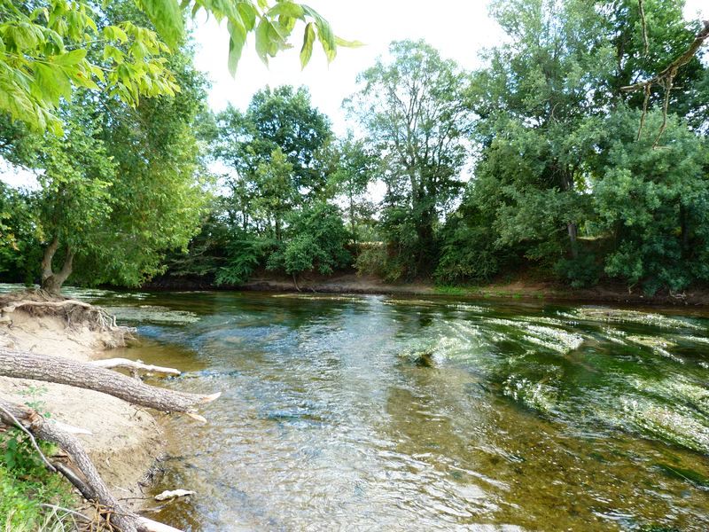 Balade printanière à la Pointe de Courpain avec LNE